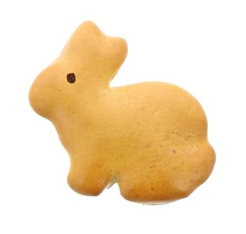 Lapin Brioché 80g